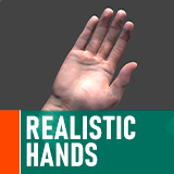 Realistic Hands - animated for VR