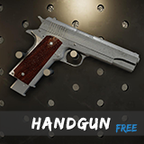Modern Guns: Handgun