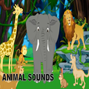 Jungle Animal Sound FX