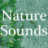 高品質 自然の 音 (背景音 8 + 効果音 11)