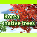 Korea native trees